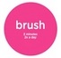 brush_small